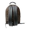 Louis Vuitton/路易威登 Backpacks M41560